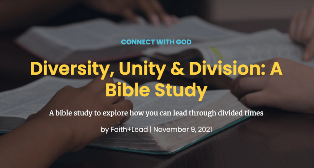 Diversity, Unity & Division: A Bible&nbsp;Study