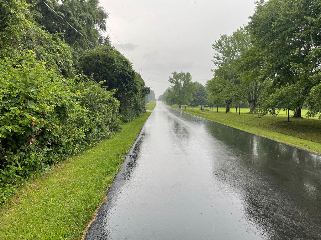 “Things of Beauty”&nbsp;Walk