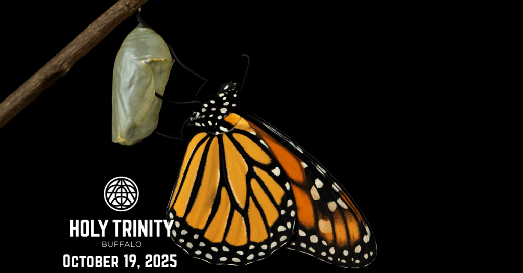 Wrestling, Persistence, and&nbsp;Perseverance