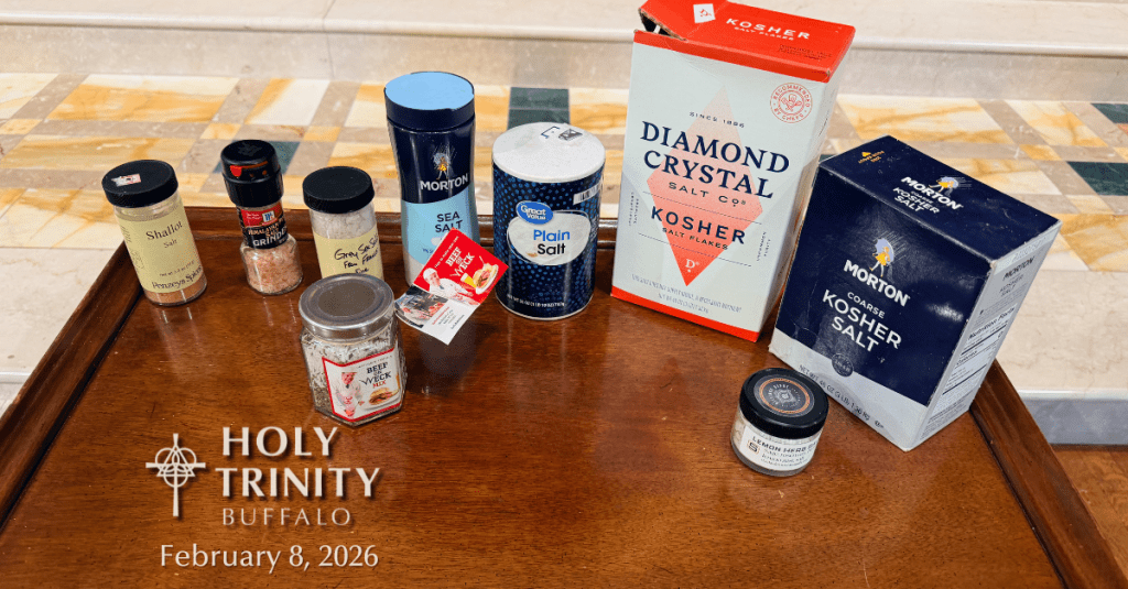 Declared to Be Salt; Called to Bring Out the Flavor of&nbsp;Jesus