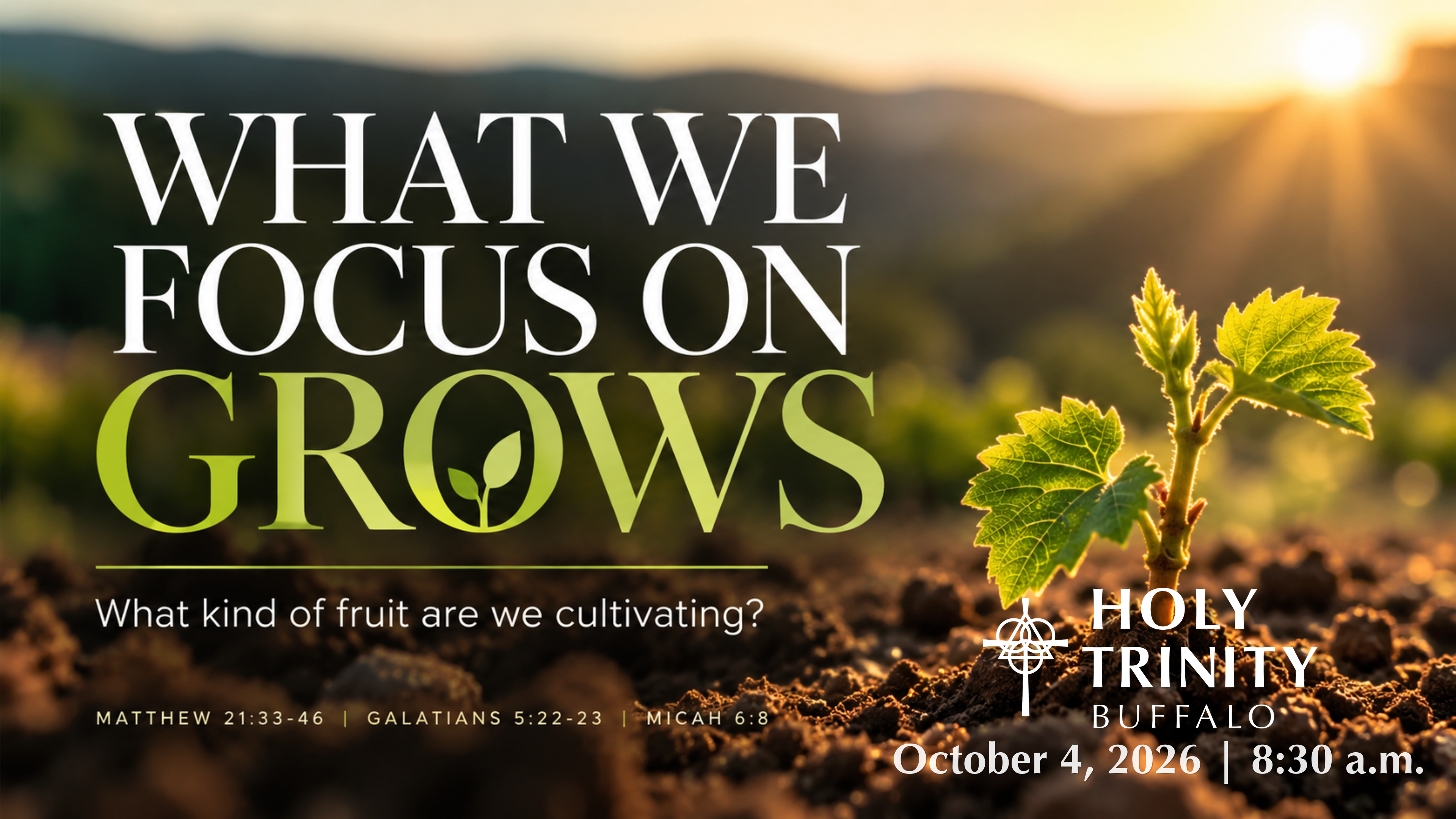What We Focus On Grows
